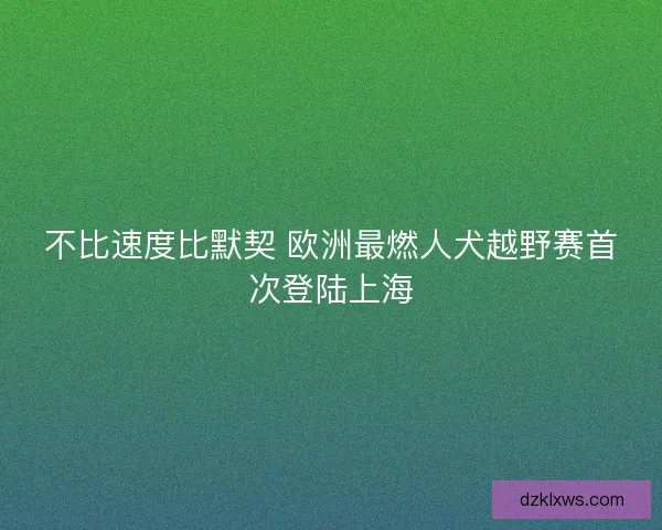 不比速度比默契 欧洲最燃人犬越野赛首次登陆上海